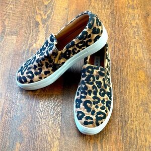 Steve Madden Leopard/Chetta Slip On Sneakers